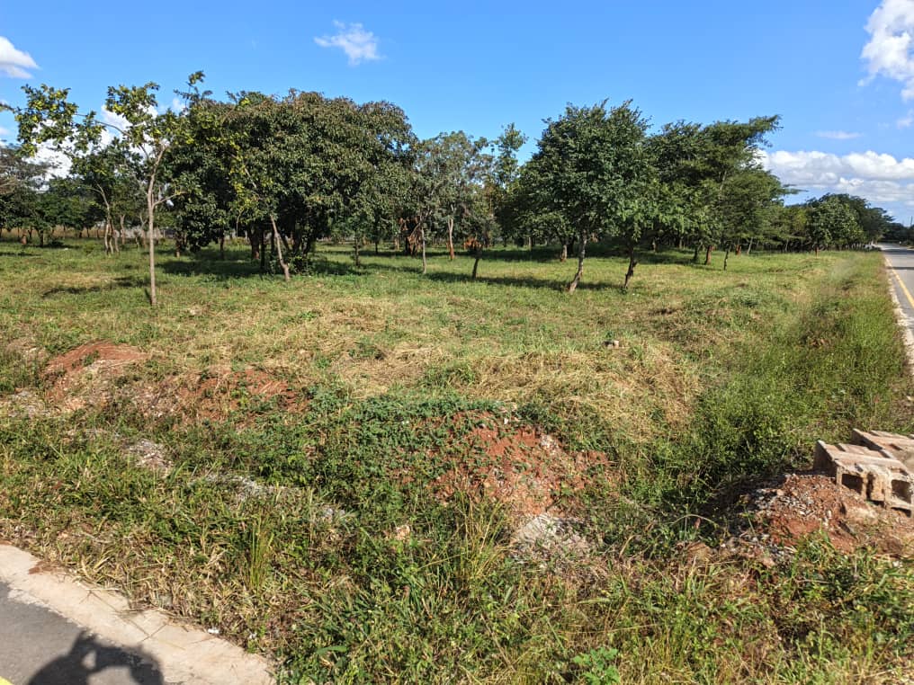Property Thumbnail